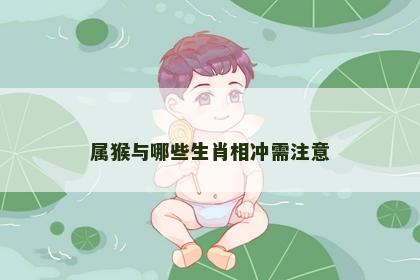 属猴与哪些生肖相冲需注意