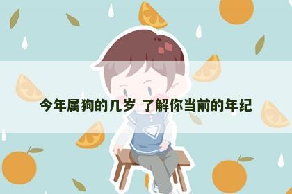 今年属狗的几岁 了解你当前的年纪