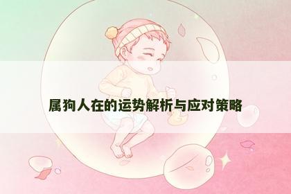 属狗人在的运势解析与应对策略
