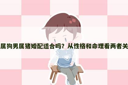 女属狗男属猪婚配适合吗？从性格和命理看两者关系
