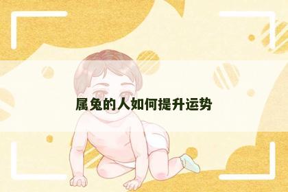 属兔的人如何提升运势