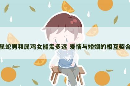 属蛇男和属鸡女能走多远 爱情与婚姻的相互契合