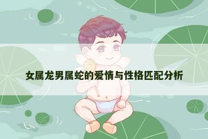 女属龙男属蛇的爱情与性格匹配分析