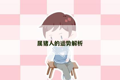 属猪人的运势解析