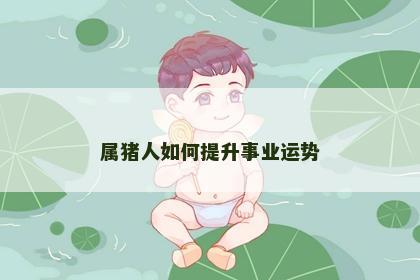 属猪人如何提升事业运势