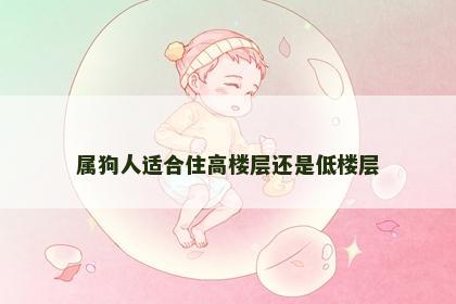 属狗人适合住高楼层还是低楼层