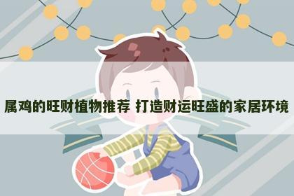 属鸡的旺财植物推荐 打造财运旺盛的家居环境