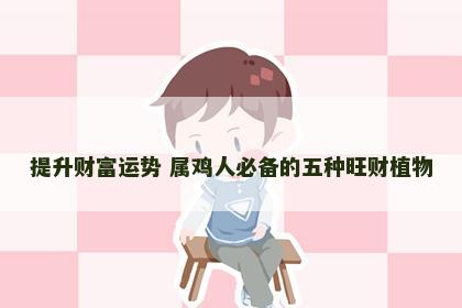 提升财富运势 属鸡人必备的五种旺财植物