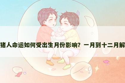 属猪人命运如何受出生月份影响？一月到十二月解析