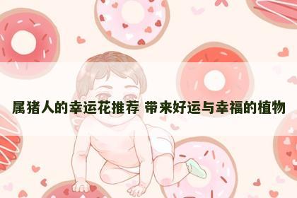 属猪人的幸运花推荐 带来好运与幸福的植物