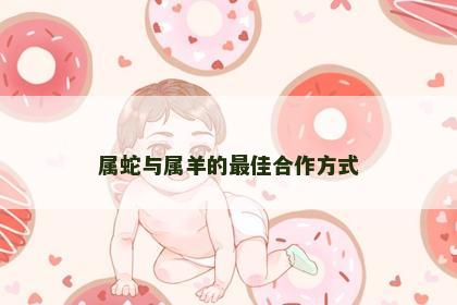属蛇与属羊的最佳合作方式