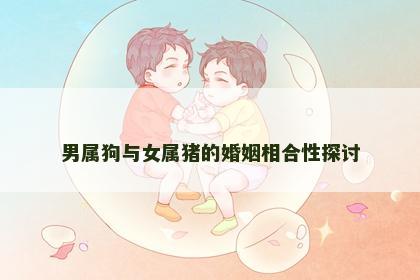 男属狗与女属猪的婚姻相合性探讨