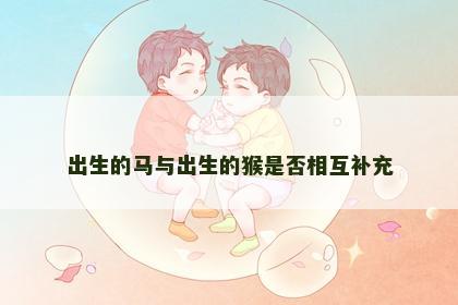 出生的马与出生的猴是否相互补充