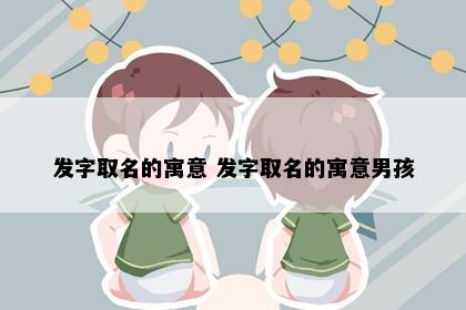 发字取名的寓意 发字取名的寓意男孩