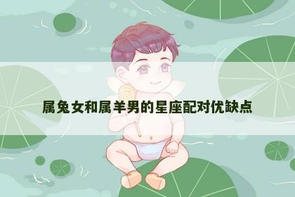 属兔女和属羊男的星座配对优缺点