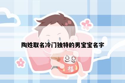 陶姓取名冷门独特的男宝宝名字