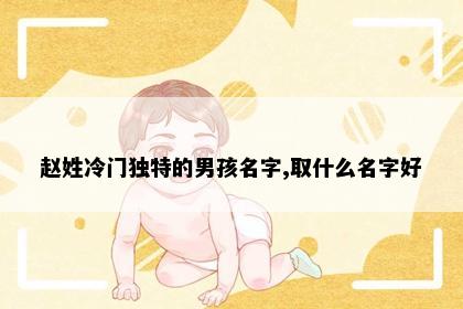 赵姓冷门独特的男孩名字,取什么名字好