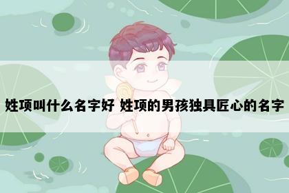姓项叫什么名字好 姓项的男孩独具匠心的名字