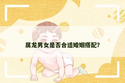 属龙男女是否合适婚姻搭配？