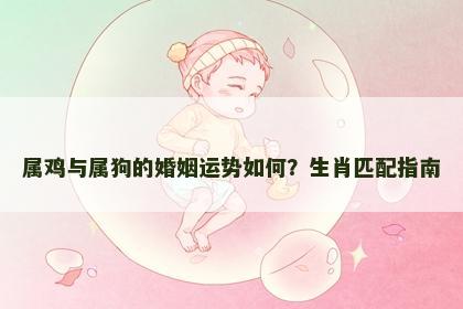 属鸡与属狗的婚姻运势如何？生肖匹配指南