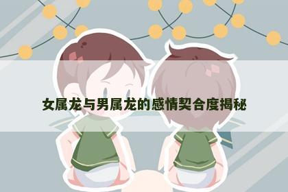 女属龙与男属龙的感情契合度揭秘