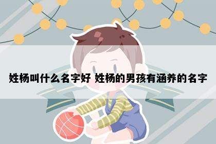 姓杨叫什么名字好 姓杨的男孩有涵养的名字
