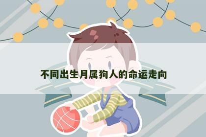 不同出生月属狗人的命运走向
