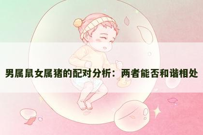 男属鼠女属猪的配对分析：两者能否和谐相处