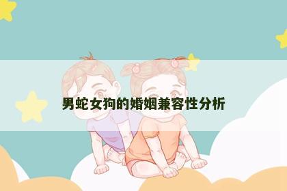 男蛇女狗的婚姻兼容性分析