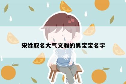 宋姓取名大气文雅的男宝宝名字