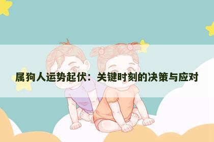 属狗人运势起伏：关键时刻的决策与应对