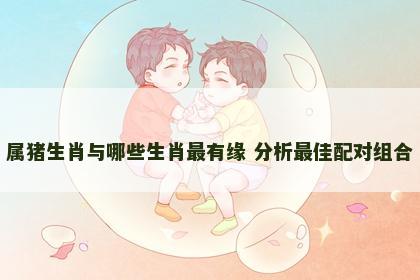 属猪生肖与哪些生肖最有缘 分析最佳配对组合