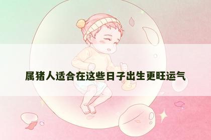 属猪人适合在这些日子出生更旺运气