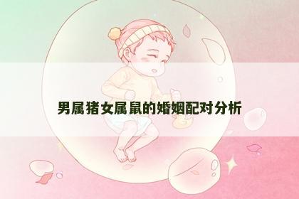 男属猪女属鼠的婚姻配对分析