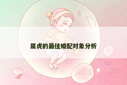 属虎的最佳婚配对象分析
