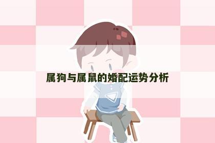 属狗与属鼠的婚配运势分析