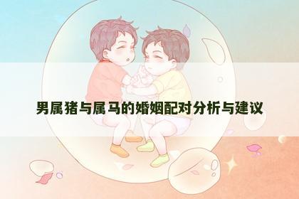 男属猪与属马的婚姻配对分析与建议