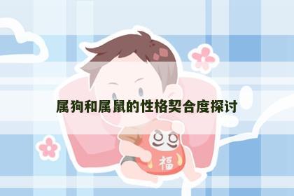 属狗和属鼠的性格契合度探讨