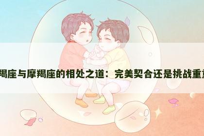 摩羯座与摩羯座的相处之道：完美契合还是挑战重重？