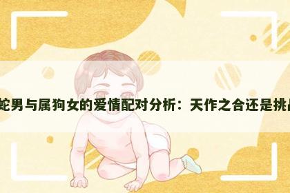 属蛇男与属狗女的爱情配对分析：天作之合还是挑战？