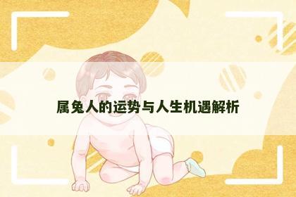 属兔人的运势与人生机遇解析