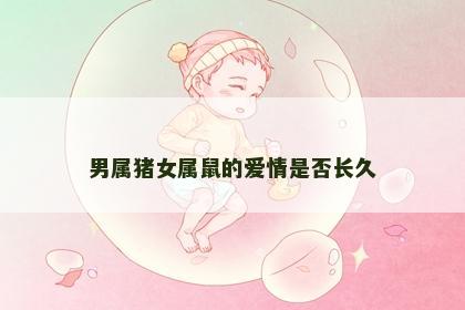 男属猪女属鼠的爱情是否长久