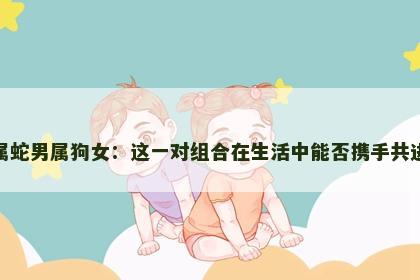 属蛇男属狗女：这一对组合在生活中能否携手共进