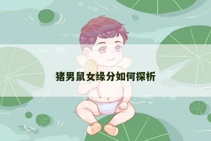 猪男鼠女缘分如何探析