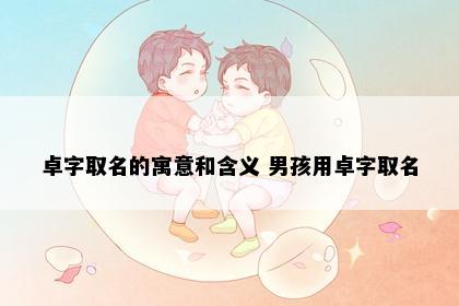 卓字取名的寓意和含义 男孩用卓字取名